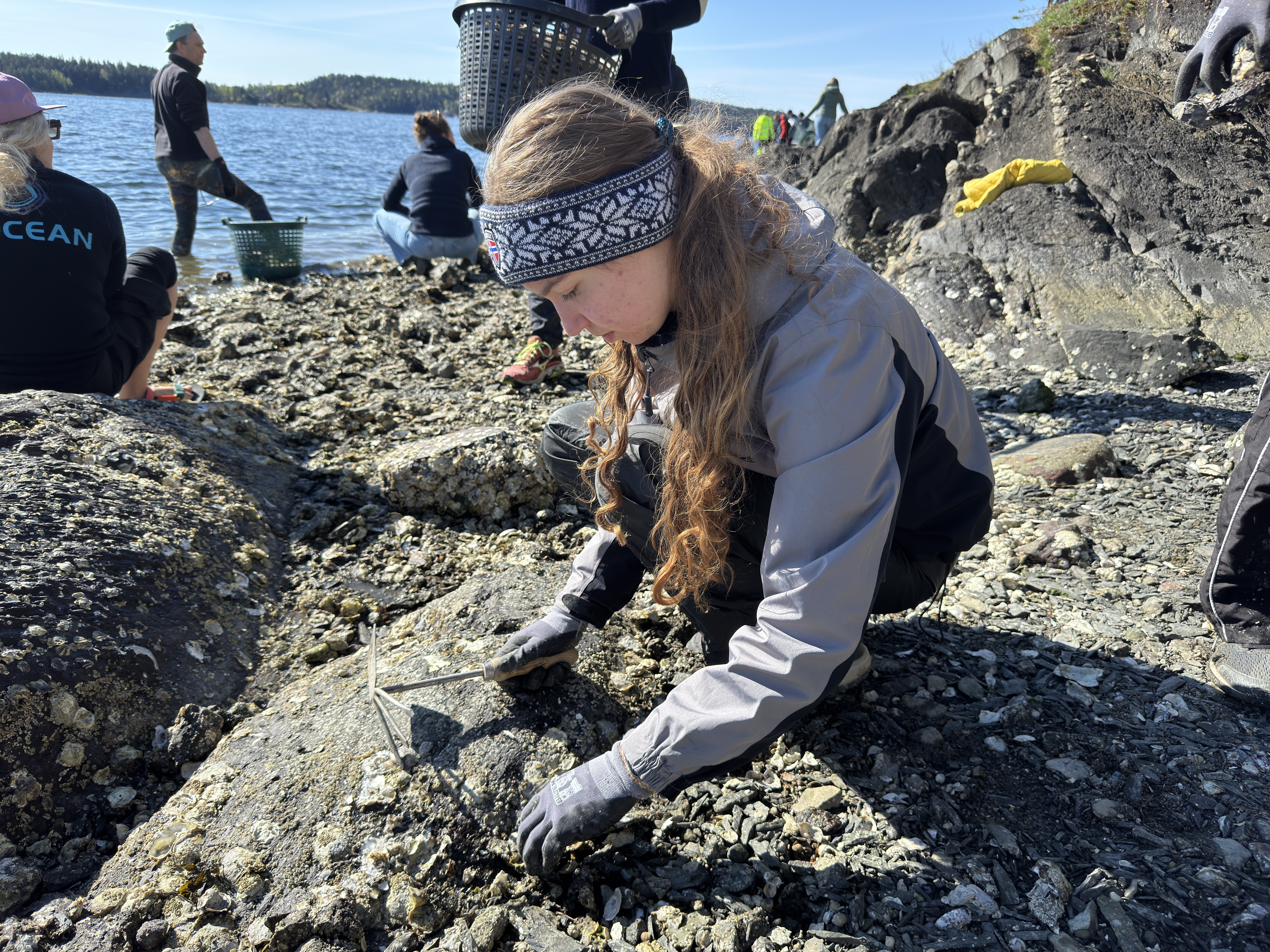 Kvinnelig videregåendeskoleelev sitter på huk og plukker vekk østers med en hakke