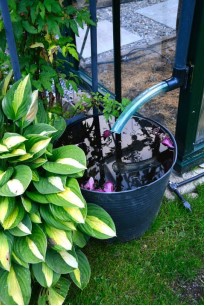 Bilde som viser kappet taknedøp og vanning av planter