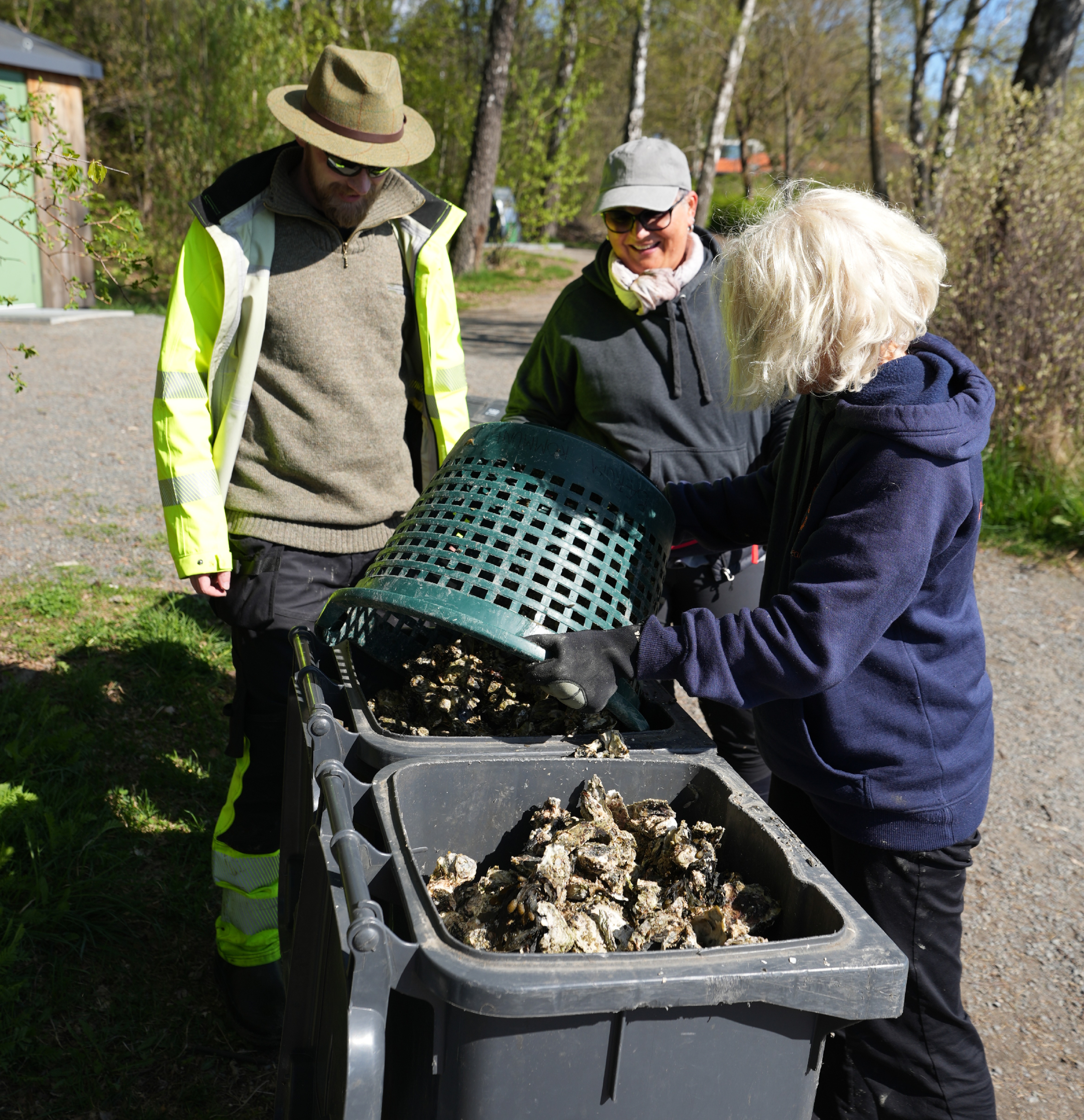 Christoffer Adrian Melum og Anne Jorunn Ravndal i No17-nettverket ser på at en kvinne heller østers i to søppelbøtter fylt av østers