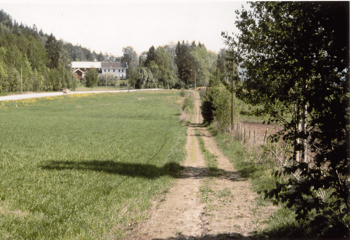 BildearkivNILK/kulturvern/veier/ankerveien/Ankerveien Scan/Mot Stein 