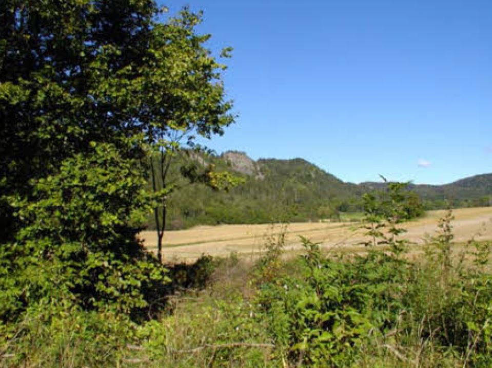 Pilegrimsvei mellom Tanum og Haslum kirker