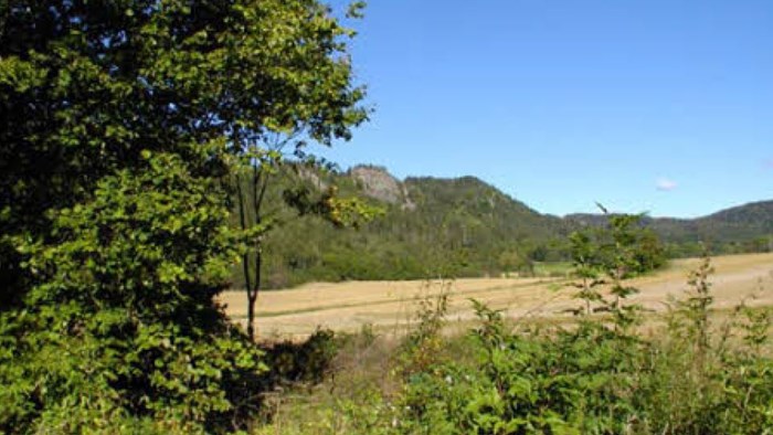 Pilegrimsvei mellom Tanum og Haslum kirker