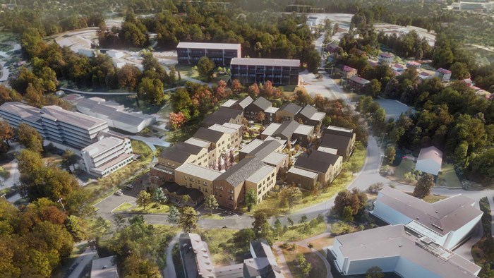 Carpe Diem - perspektiv