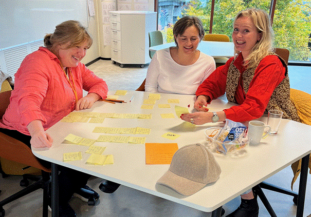 Bedret tverrfaglig samarbeid innad på helsestasjonene.