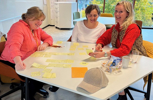 Bedret tverrfaglig samarbeid innad på helsestasjonene.