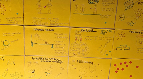 Jordmortjenesten - Konseptutvikling