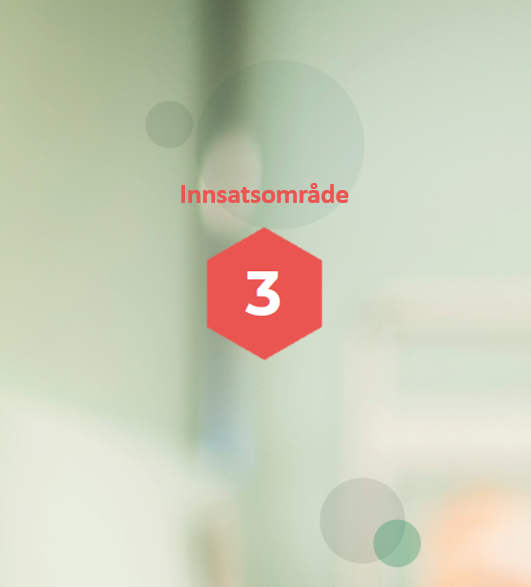Innsatsområdet 3