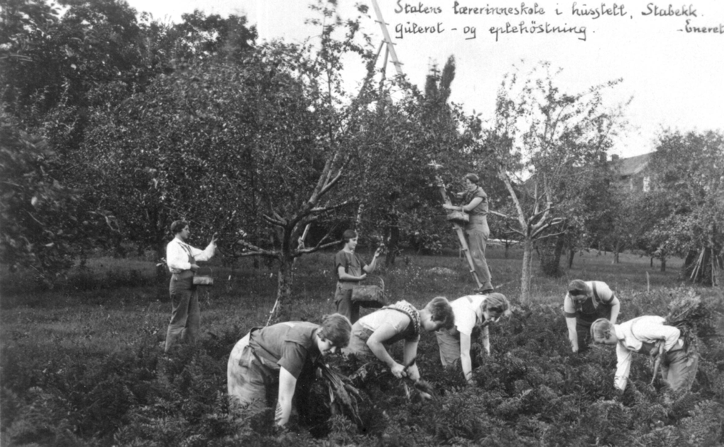Statens lærerindeskole i husstell” på Stabekk