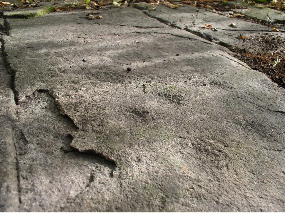 Skålgroper er skålformede fordypninger i stein.