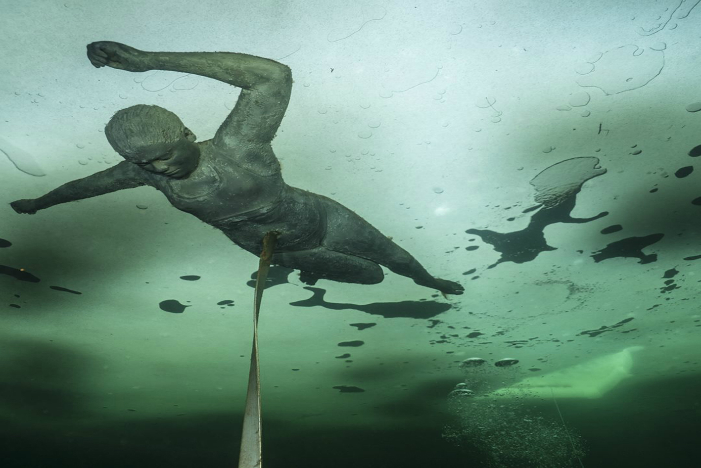 Jason Taylors skulpturpark